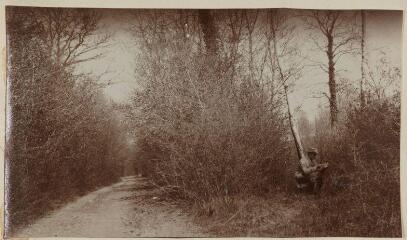 Verdun. En forêt de Souilly / [non identifié]. [1915-1916]
