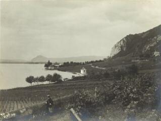 [Un homme accoudé à un mur au milieu des vignes situées entre Veyrier-du-Lac et Menthon-Saint-Bernard] / [non identifié]. [s.n.], [1909-1923]. [1909]-[1923]