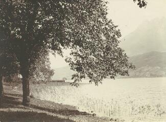 [Au bord du lac d'Annecy à Duingt] / [non identifié]. [s.n.], [1910-1911]. [1910]-[1911]