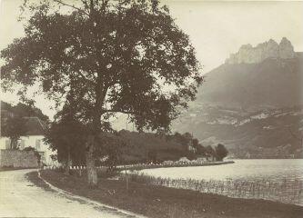 [Route bordant la rive gauche du lac à proximité de Duingt côté Doussard] / [non identifié]. [s.n.], [1911-1912]. [1911]-1912