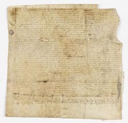 Lettres patentes de noblesse délivrées par le duc de Savoie en faveur d'Aymon de Malivert, de Bourg-en-Bresse.