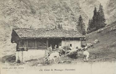 136. Chalet de Montagne en Tarentaise / Auguste et Ernest Pittier. Annecy Pittier, phot-édit. 1899-1922
