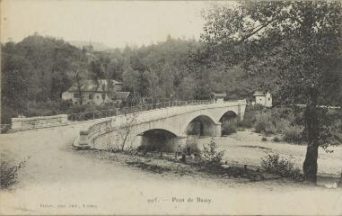 995. Pont de Bassy / Auguste et Ernest Pittier. Annecy Pittier, phot-édit. 1899-1922