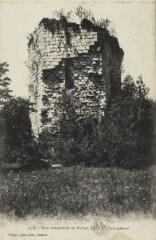 1416. Tour hexagonale de Duingt, époque mérovingienne / Auguste et Ernest Pittier. Annecy Pittier, phot-édit. 1899-1922