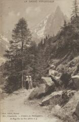 380. Chemin du Montenvers et Aiguille du Dru (3754 m) / Auguste et Ernest Pittier. Annecy Pittier, phot-édit. 1899-1922