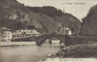 202. Le Vieux Pont / Auguste et Ernest Pittier. Annecy Pittier, phot-édit. 1899-1922