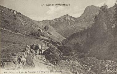 809. Ravin de Pracompuet et l'Aiguille Grive (2735 m) / Auguste et Ernest Pittier. Annecy Pittier, phot-édit. 1899-1922 La Savoie pittoresque
