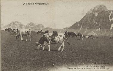 1006. Plateau de Cenyse et Pointe du Midi (2336 m) / Auguste et Ernest Pittier. Annecy Pittier, phot-édit. 1899-1922 La Savoie pittoresque