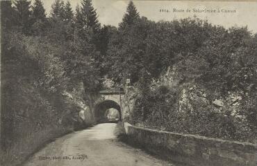 1114. Route de Saint-Jeoire à Onnion / Auguste et Ernest Pittier. Annecy Pittier, phot-édit. 1899-1922