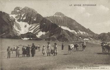 1005. Plateau de Cenyse et Pic de Janouvre (2408 m) / Auguste et Ernest Pittier. Annecy Pittier, phot-édit. 1899-1922 La Savoie pittoresque
