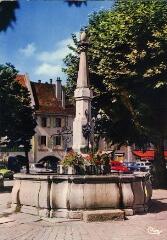 Bonneville (Hte-Savoie) La fontaine fleurie. [1980]