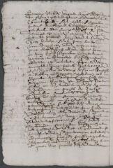 6 vues  - Copie d\'actes concernant le procès entre monsieur de Vallon et Damidoux datant du 15 avril 1625 et du 11 mars 1626. (ouvre la visionneuse)